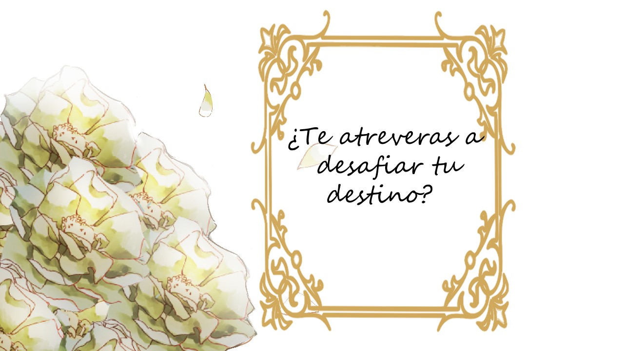Expectativas